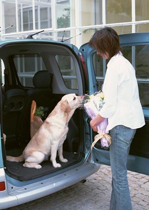 車検の依頼で必要なものやこころがけ
