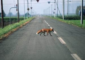 群馬県にあるタイヤなどの販売店